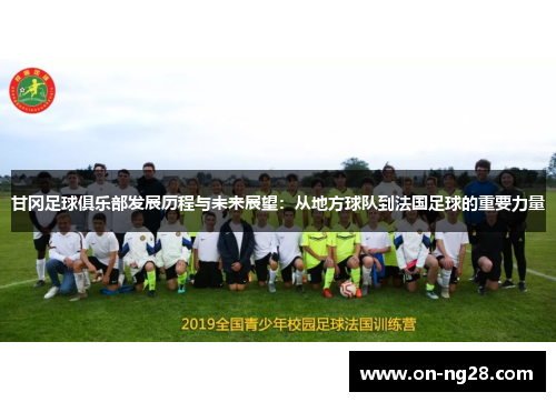 甘冈足球俱乐部发展历程与未来展望：从地方球队到法国足球的重要力量