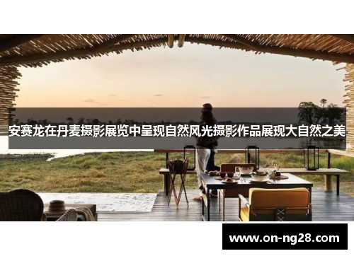 安赛龙在丹麦摄影展览中呈现自然风光摄影作品展现大自然之美
