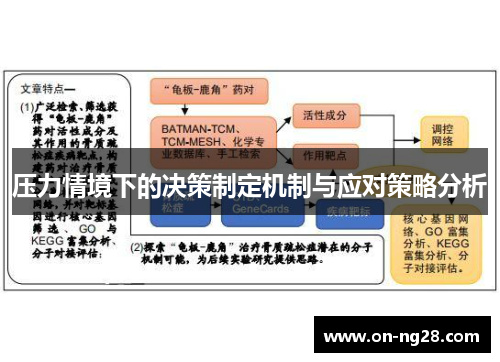 压力情境下的决策制定机制与应对策略分析