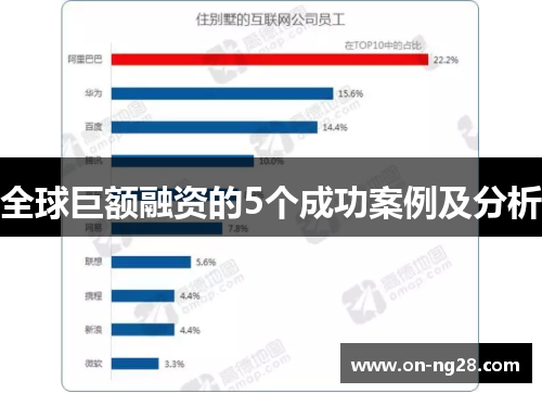全球巨额融资的5个成功案例及分析
